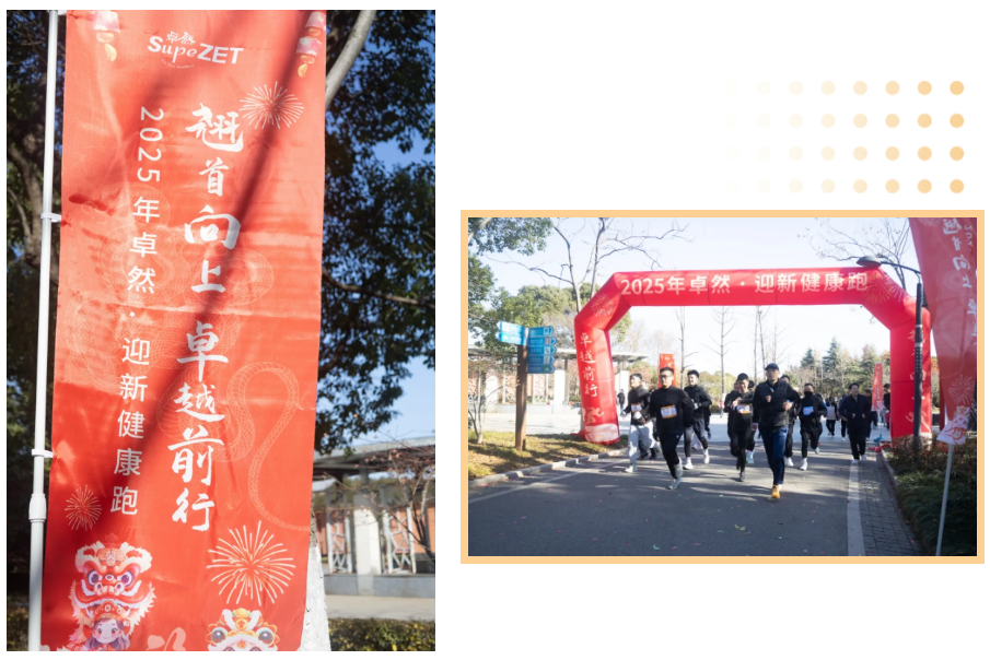 回望2024 启航2025 | Z6尊龙凯时股份2025年度战略年会顺利召开